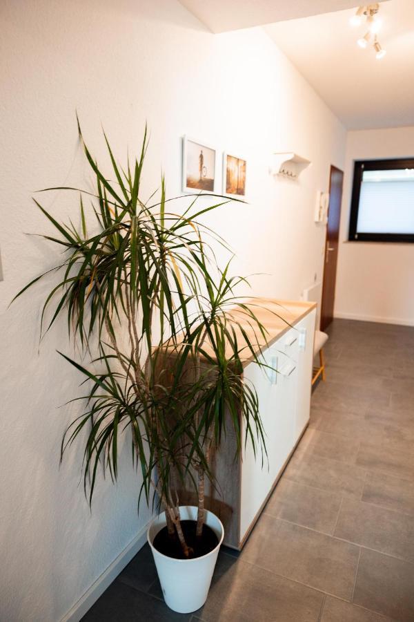 Ferienwohnung Am See - Sport Und Erholung - Wlan Winterberg Bagian luar foto